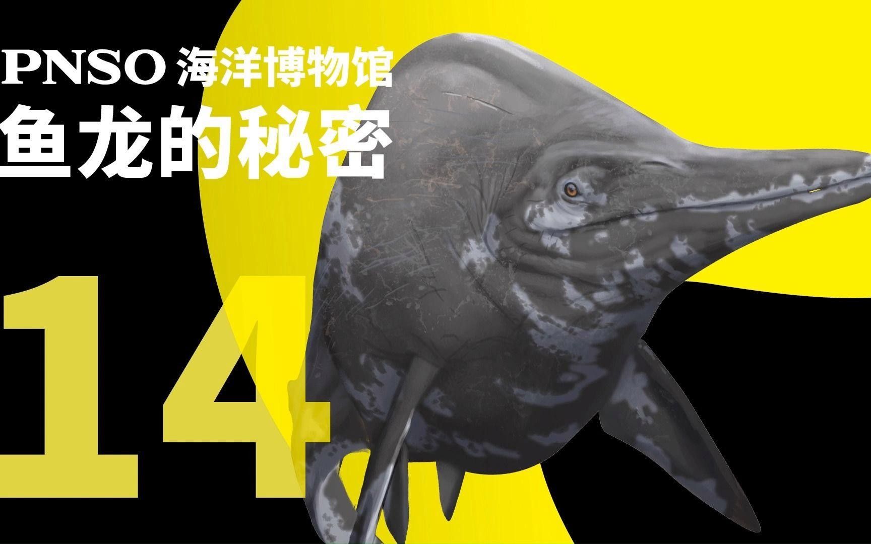 薩斯特魚龍（shastasaurus）的地理位置，薩斯特魚龍在哪個位置，