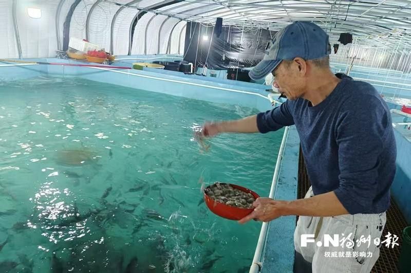 羅源龍魚飼養全攻略:“剝皮魚”游出致富新天地，福建羅源龍魚飼養全攻略“剝皮魚”游出致富新天地