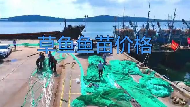 詳細閱讀:廣東魚苗批發中心魚苗批發中心_惠州魚苗批發中心,養殖場魚苗批發行業的商業模式 廣東魚苗批發中心魚苗批發中心_惠州魚苗批發中心,養殖場魚苗批發行業的商業模式