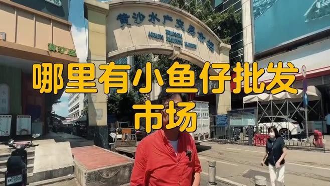 廣東魚苗批發中心魚苗批發中心_惠州魚苗批發中心，養殖場魚苗批發行業的商業模式