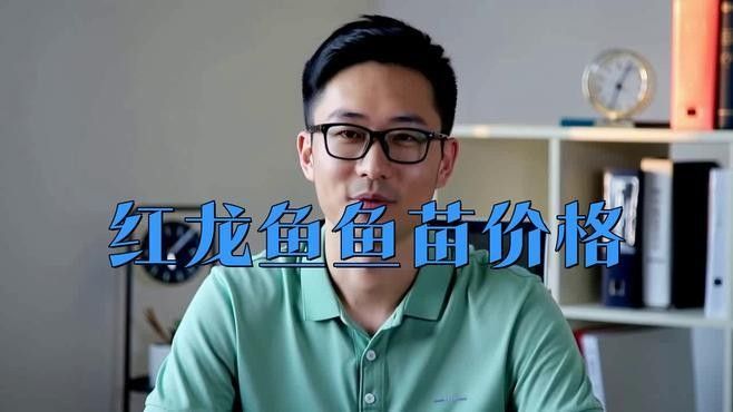龍魚幼崽的價(jià)格一覽表，聽魚場老板揭秘龍魚幼崽價(jià)格內(nèi)幕紅龍魚多少錢一只江月行客
