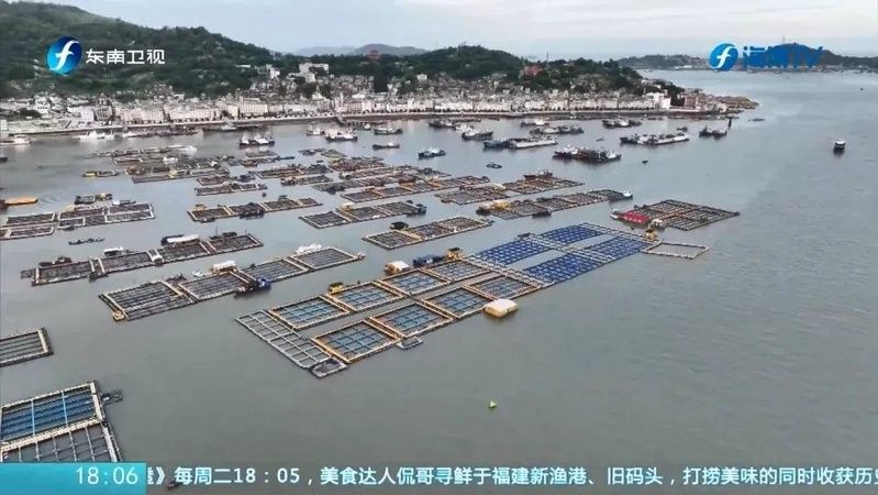 福鼎龍魚的生態(tài)養(yǎng)殖模式具體是怎樣的福鼎龍魚的生態(tài)養(yǎng)殖模式，福鼎龍魚的養(yǎng)殖歷史是怎樣的？