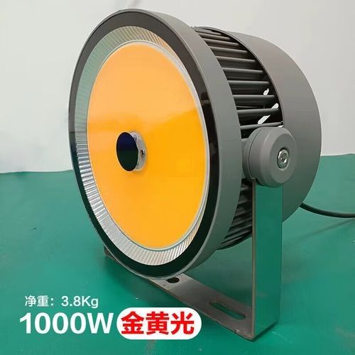 金灣金龍魚品牌和觀賞魚金龍魚的相關信息能幫您了解，金灣金龍魚京東旗艦店