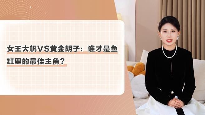 黃金紅眼女王大帆vs黃金紅眼女王大帆清道夫清道夫，京東平臺上在售的“女王大帆”魚 黃金紅眼女王大帆vs黃金紅眼女王大帆清道夫清道夫，京東平臺上在售的“女王大帆”魚 觀賞魚百科 第8張