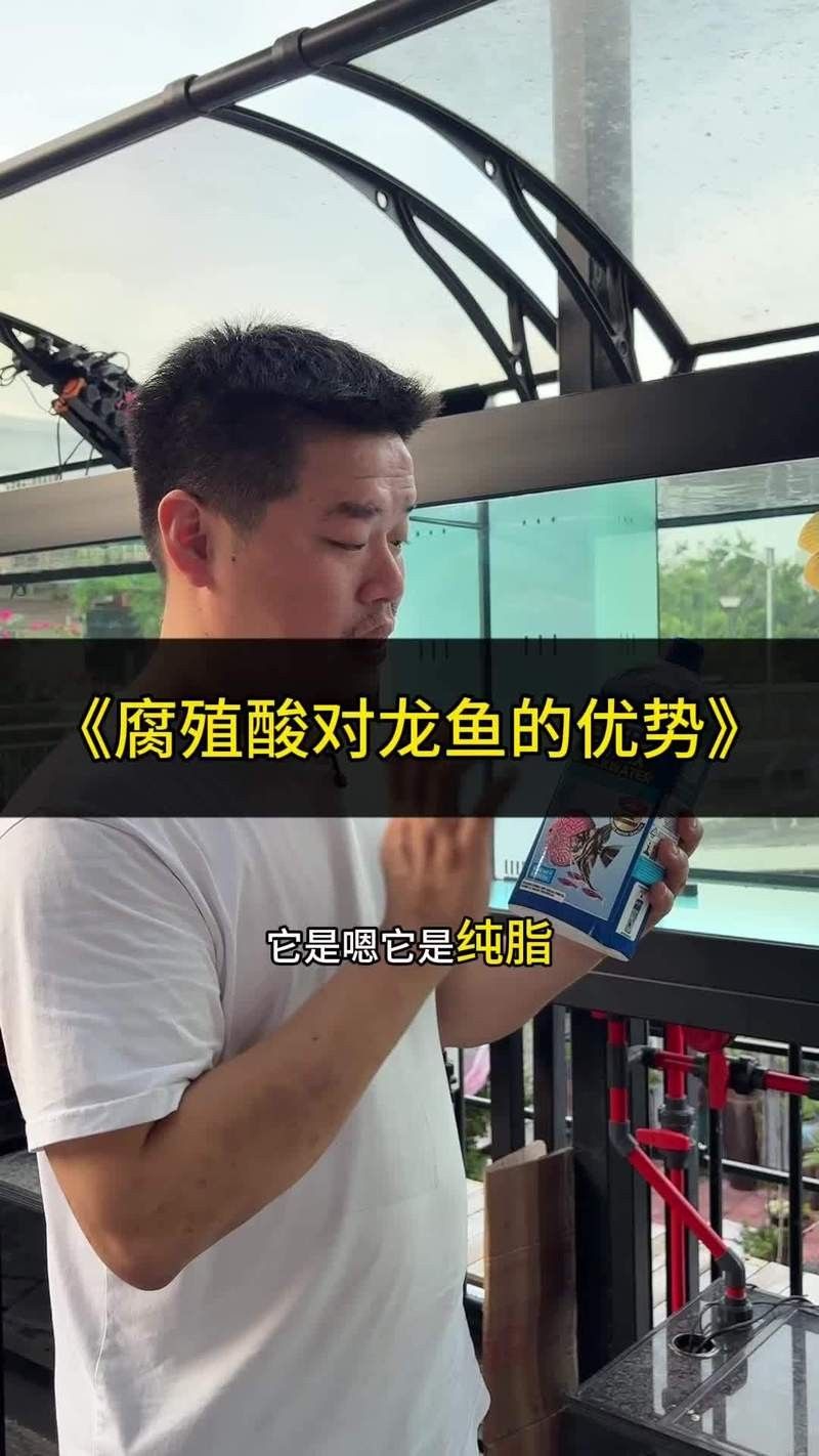 龍魚燒尾是一種常見的觀賞魚疾病的癥狀包括尾巴變黑、腐爛和脫落，龍魚燒尾怎么辦