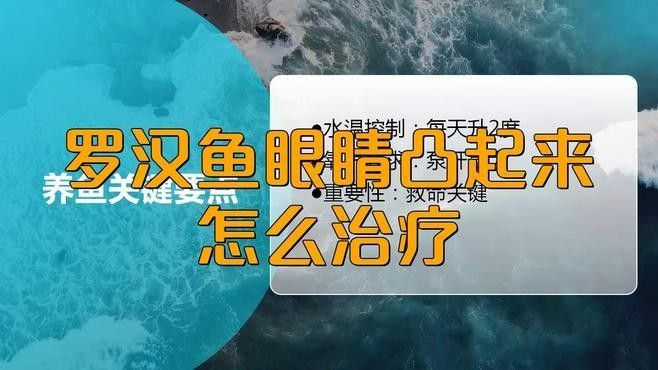 魚凸眼怎么治療，觀賞魚突眼治療全攻略