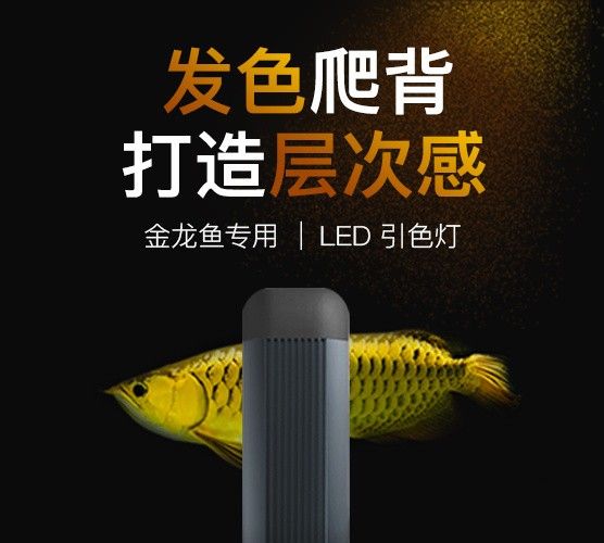 杭州吉印官網(wǎng)，吉印官網(wǎng)售后服務(wù)如何聯(lián)系吉印官網(wǎng)售后服務(wù)