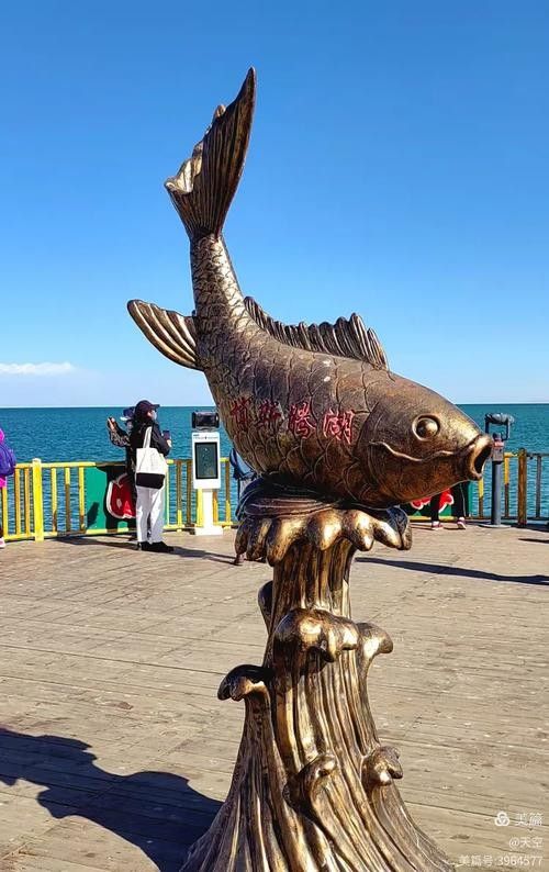 旅順口金龍魚的歷史文化與現(xiàn)狀，關(guān)于旅順口金龍魚的問題