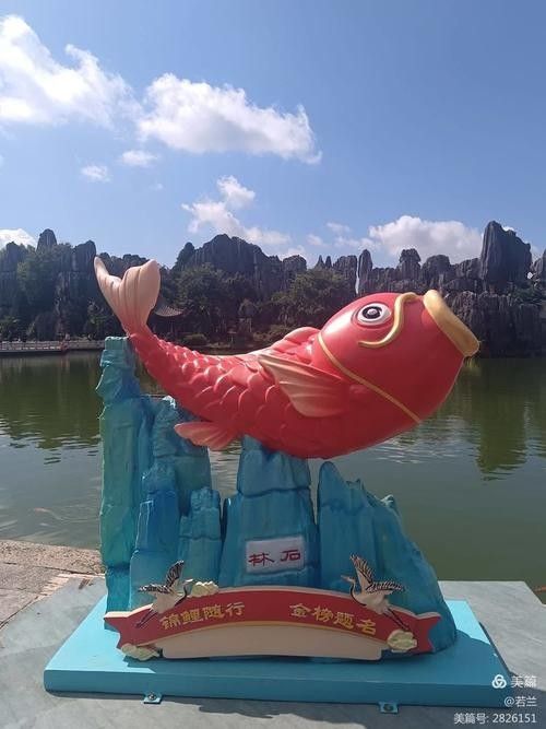 旅順口金龍魚的歷史文化與現(xiàn)狀，關(guān)于旅順口金龍魚的問題