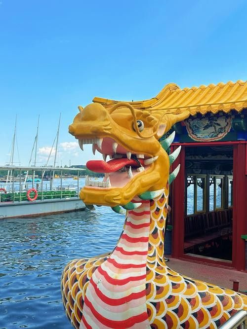 旅順口金龍魚的歷史文化與現(xiàn)狀，關(guān)于旅順口金龍魚的問題