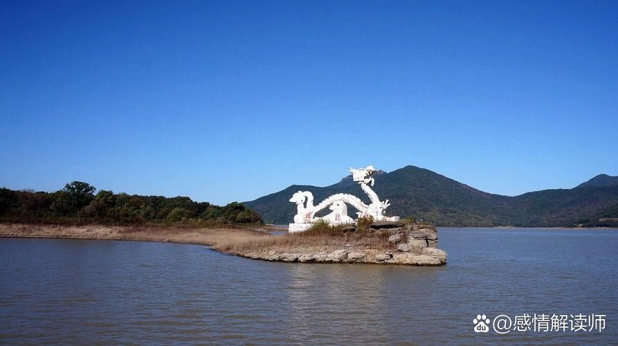 旅順口金龍魚的歷史文化與現(xiàn)狀，關(guān)于旅順口金龍魚的問題
