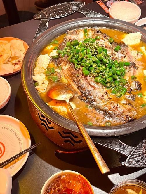 石家莊哪家魚館最有特色，石家莊魚館排名前十名搬磚族煲劇錄，石家莊吃魚好去處