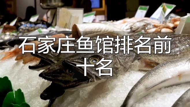 石家莊哪家魚館最有特色，石家莊魚館排名前十名搬磚族煲劇錄，石家莊吃魚好去處