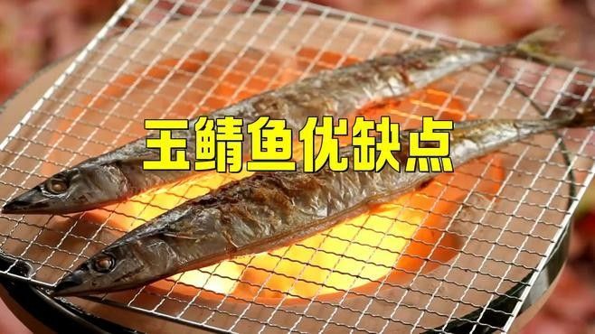 大日玉鯖金魚的價格是多少？，大日玉鯖金魚有哪些優缺點