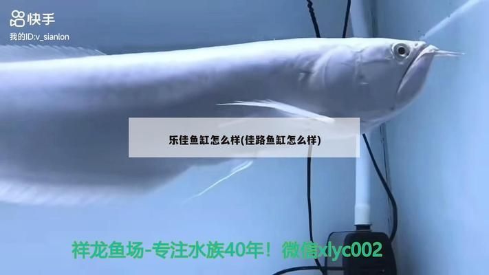 龍魚沒狀態但是吃東西正常，可能是龍魚沒狀態但是吃東西正常呢，龍魚明明狀態看起來挺好，但卻不吃東西，是什么原因導致的呢？