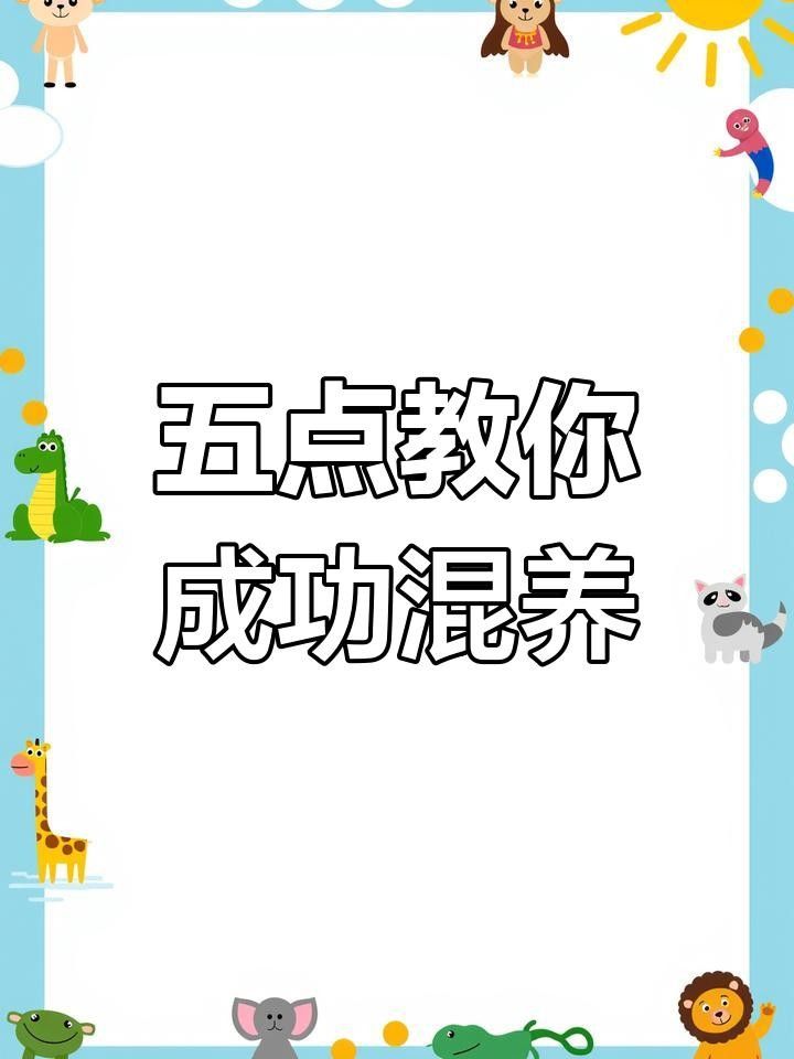 適合混養的觀賞魚，哪些觀賞魚適合混養在一起