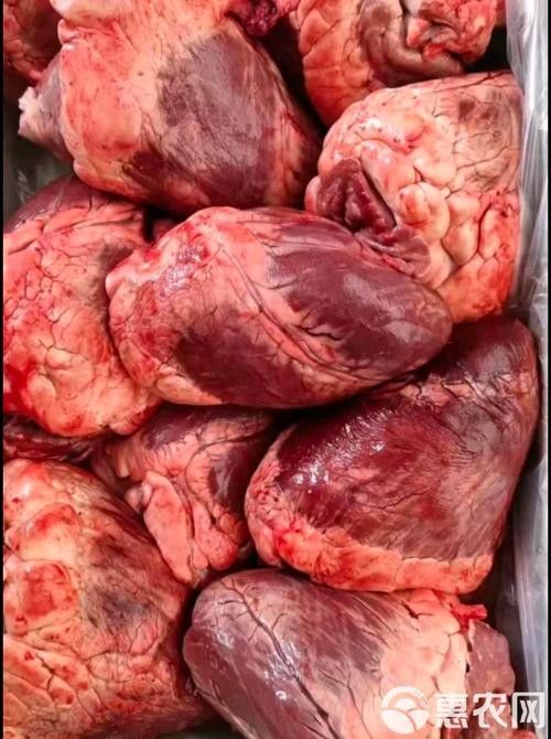魚食的漢堡和牛心漢堡哪個更適合增色？，魚食漢堡和牛心漢堡哪個好，