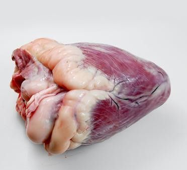 魚食的漢堡和牛心漢堡哪個更適合增色？，魚食漢堡和牛心漢堡哪個好，