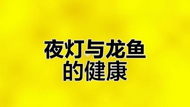 龍魚(yú)燈光的使用方法，——龍魚(yú)燈光的使用方法