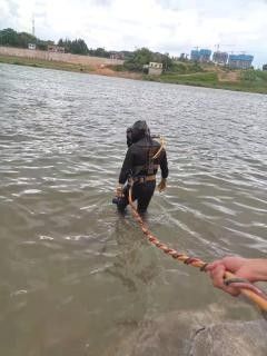 龍魚(yú)為何成水族箱寵兒揭秘其魅力與象征意義，平?jīng)鳊堲~(yú)的價(jià)格是多少如何鑒別真假平?jīng)鳊堲~(yú)的價(jià)格