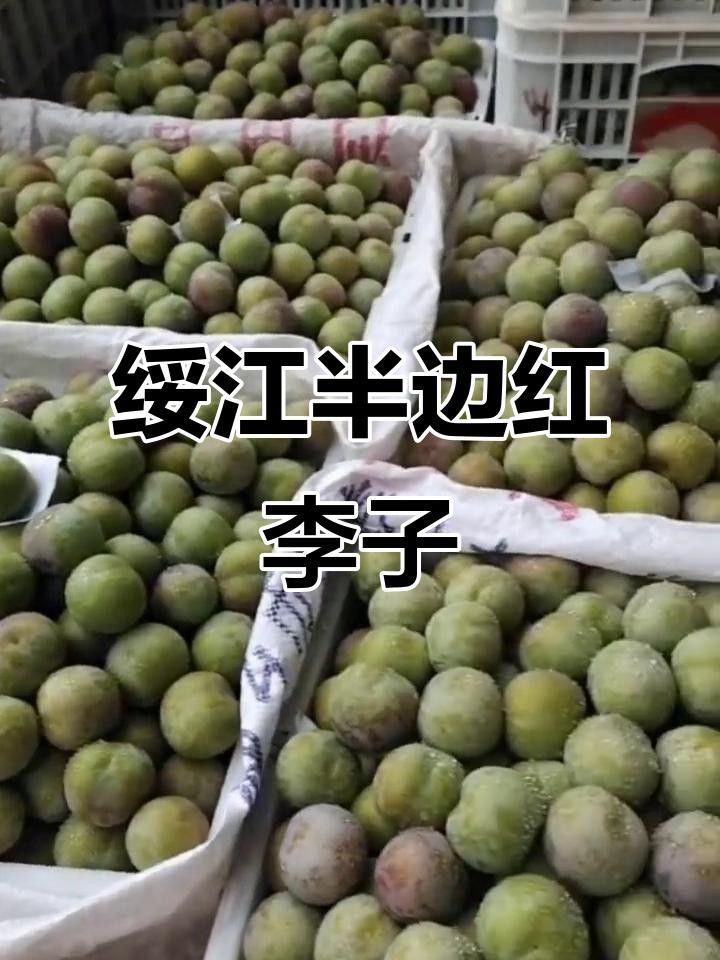云南綏江縣的特產，云南省昭通市綏江縣的特產