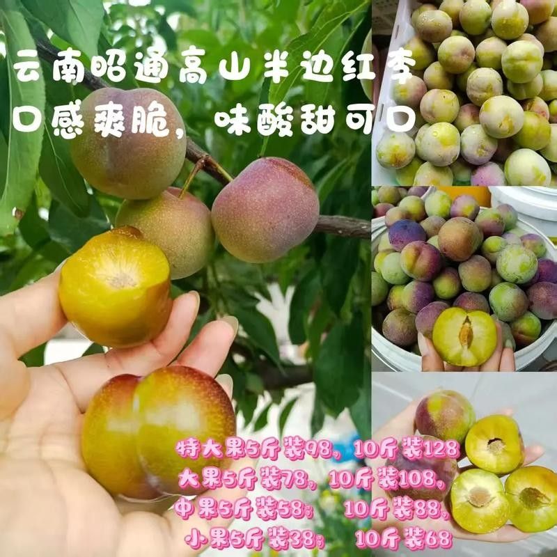 云南綏江縣的特產，云南省昭通市綏江縣的特產
