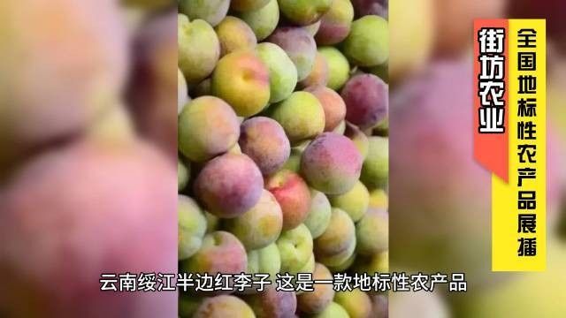 云南綏江縣的特產，云南省昭通市綏江縣的特產