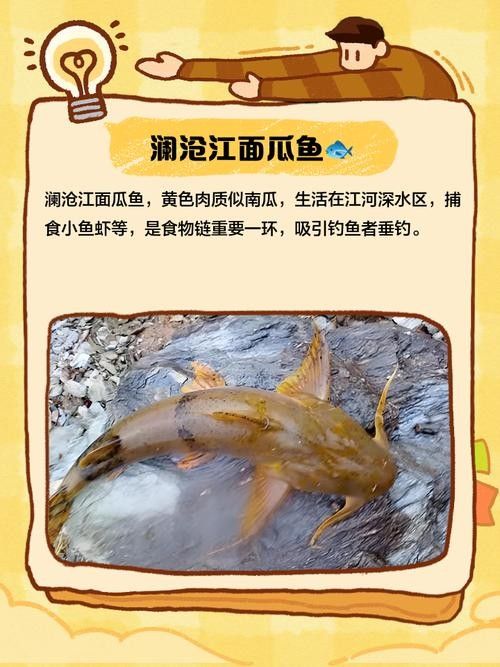 瀾滄江魚的多樣性和生態特征，瀾滄江江魚的多樣性和生態特征