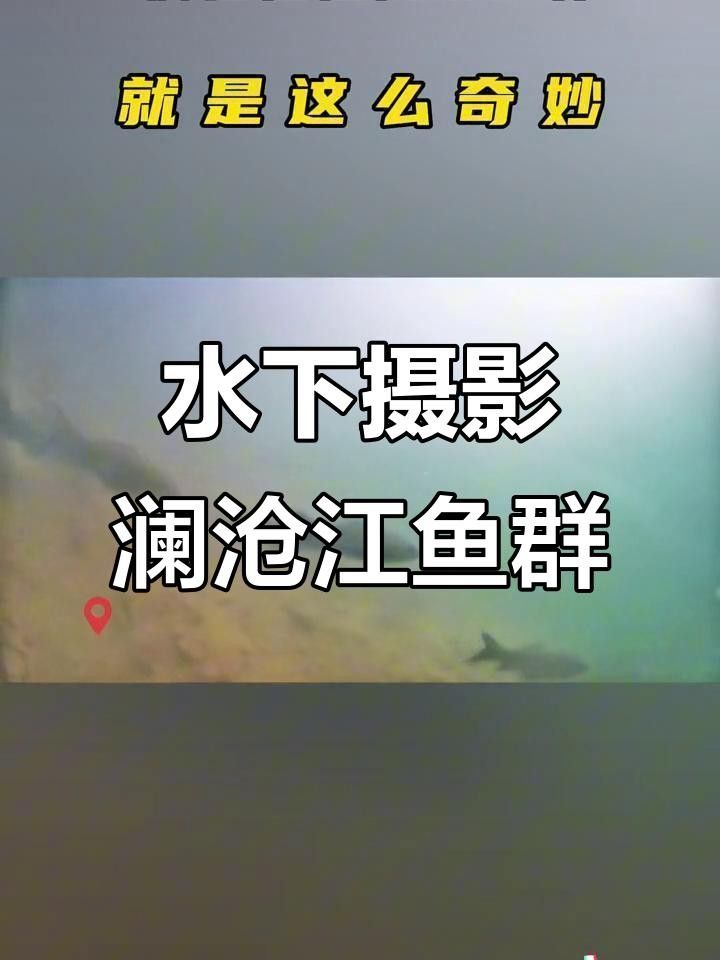 瀾滄江魚的多樣性和生態(tài)特征，瀾滄江江魚的多樣性和生態(tài)特征