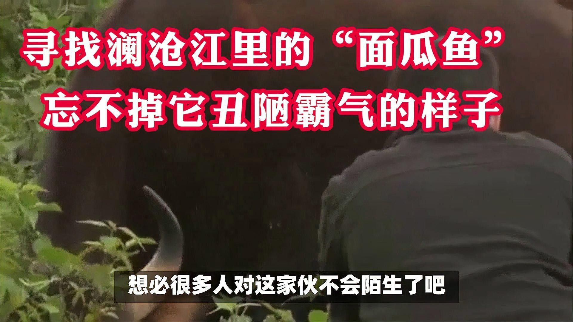 瀾滄江魚的多樣性和生態(tài)特征，瀾滄江江魚的多樣性和生態(tài)特征