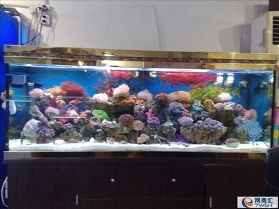 龍魚在水面不動正常嗎，，龍魚在水面上靜止不動并不一定意味著健康問題，可能與多種因素有關