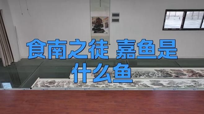 嘉魚是什么？，嘉魚是什么魚小絨球札記嘉魚是什么魚小絨球札記嘉魚是什么意思