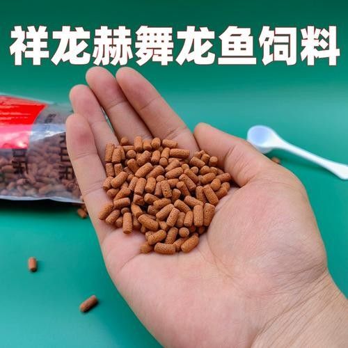 赫舞紅龍魚屬于什么級別的檔次與科技紅龍魚屬于什么檔次，紅龍魚屬于什么檔次