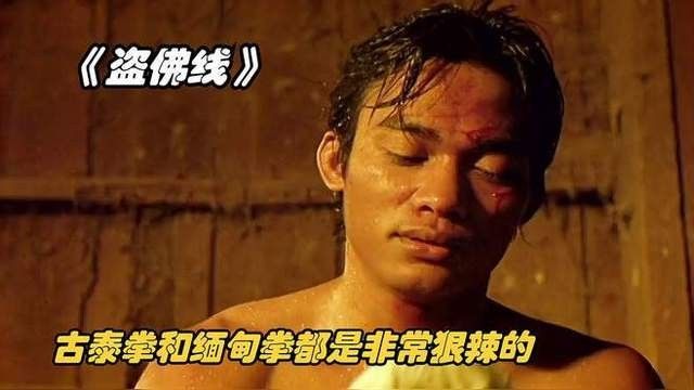 緬甸紅龍魚的飼養難度如何？，古泰拳對戰緬甸紅龍究竟孰強孰弱搜狐視頻展示