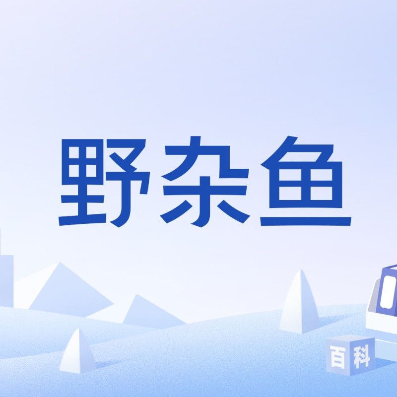 鄭州龍魚是雜魚嗎？，鄭州龍魚屬于雜魚嗎？