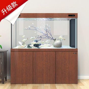 肇慶龍魚養(yǎng)殖基地在哪里肇慶龍魚養(yǎng)殖基地在哪里啊，肇慶龍魚養(yǎng)殖基地在哪里