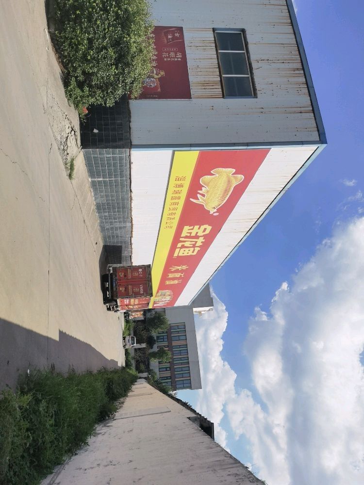 淄博金龍魚養殖基地是否真實存在？，淄博金龍魚養殖基地是否存在淄博金龍魚養殖基地是否存在