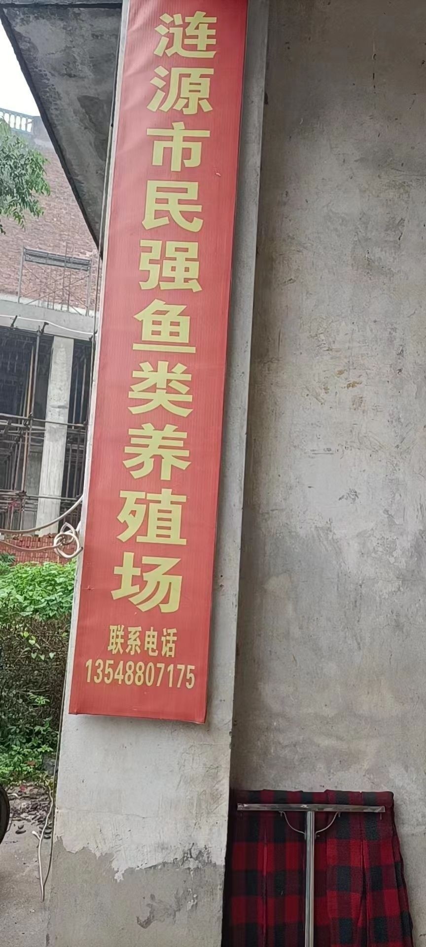漣源龍魚養(yǎng)殖技巧:漣源龍魚養(yǎng)殖技巧一網(wǎng)打盡全民小視頻，養(yǎng)魚小藝，你知道漣源龍魚有多少個品種可為漁業(yè)