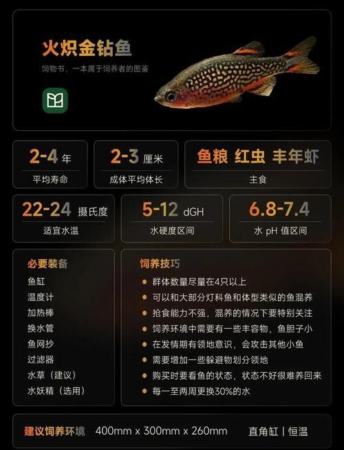 金鉆魚的飼養難度如何，火翅金鉆燈魚的飼養難度如何，火翅金鉆了解異型魚:“l200金鉆”和“l200a鯊帆金鉆”