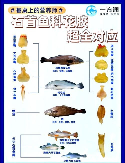 石首龍魚的價格是多少？石首龍魚有哪些飼養難點？，石首龍魚與常見的觀賞龍魚，在哪個國家或地區最常見