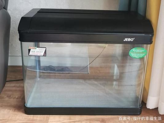 買賣龍魚違法嗎？，買賣龍魚是否違法