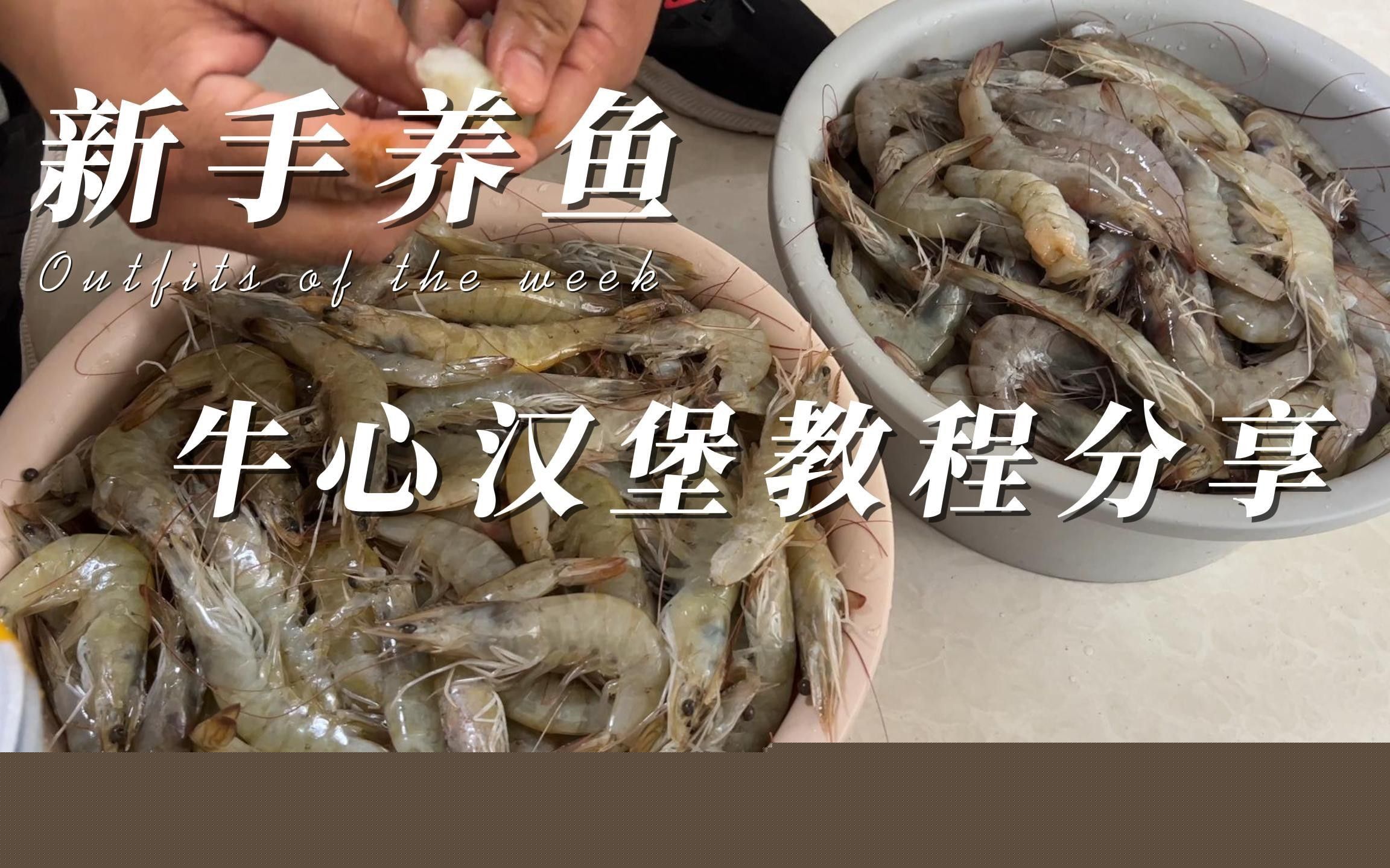 自制牛心漢堡，參照這個(gè)配方，魚(yú)兒100%瘋搶著吃！，水族魚(yú)樂(lè)圈官方新手養(yǎng)魚(yú)牛心漢堡教程分享牛心漢堡的三種做法