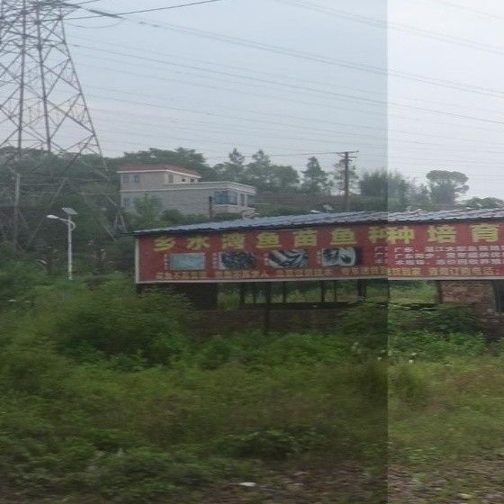 衡陽市衡陽市衡陽市及周邊地區與魚類批發、養殖相關的基地和商家信息，衡陽大型魚市批發市場