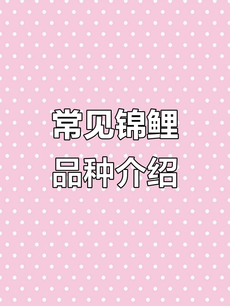 15種錦鯉品種大揭秘，你認(rèn)識(shí)幾個(gè)錦鯉品種大揭秘，15種常見(jiàn)的鯉魚(yú)品種大揭秘