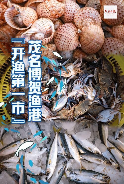 漁業(yè)品牌的重要性及其對海洋生態(tài)系統(tǒng)的影響力及其對海洋生態(tài)系統(tǒng)的影響，廣東漁業(yè)品牌有哪些