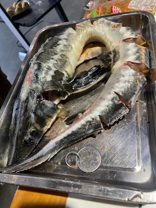 懷柔虹鱒魚(yú)的特別之處在哪里？，懷柔的魚(yú)類資源豐富多樣，品質(zhì)優(yōu)良