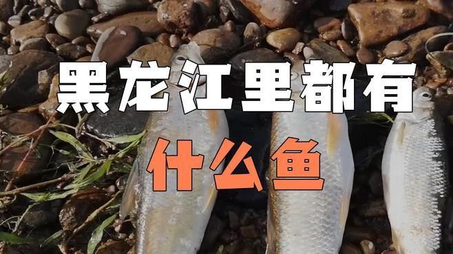 <strong><mark>牡丹江</mark></strong>流域有哪些著名的魚場(chǎng)<strong><mark>牡丹江</mark></strong>流域有哪些著名的魚場(chǎng)，<strong><mark>牡丹江</mark></strong>大江的魚類資源