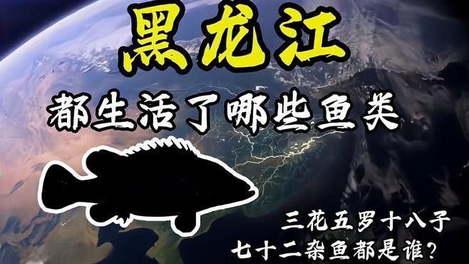 牡丹江流域有哪些著名的魚場牡丹江流域有哪些著名的魚場，牡丹江大江的魚類資源 牡丹江流域有哪些著名的魚場牡丹江流域有哪些著名的魚場，牡丹江大江的魚類資源 觀賞魚百科 第2張
