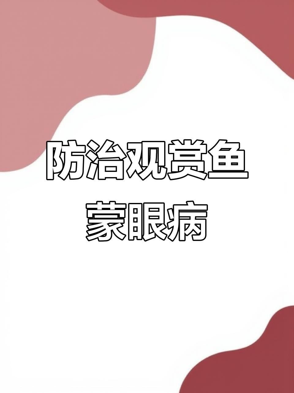 魚眼睛出現(xiàn)白色凸起怎么辦？，養(yǎng)魚筆記第3季104集嗶哩嗶哩嗶哩嗶哩瑪麗魚眼睛發(fā)白怎么回事