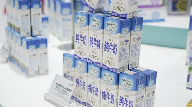 鄭州購買金龍魚的方式，鄭州哪里賣金龍魚好